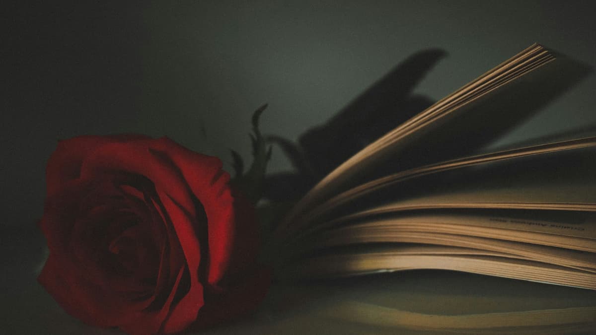 A dramatic and moody close-up of a red rose resting on an open book's pages in soft lighting.